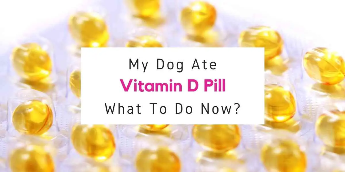text reading what to do if dog ate vitamin d pill