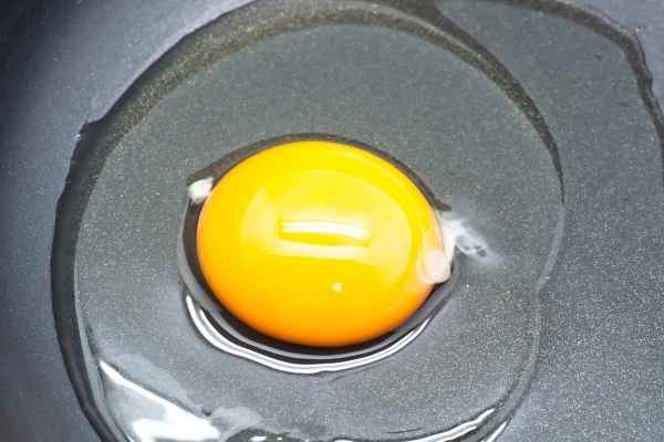 picture of a raw egg