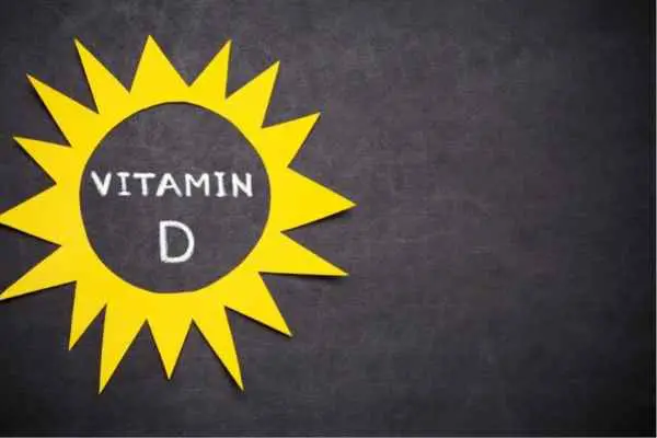 dogs get their vitamin d from sunlight