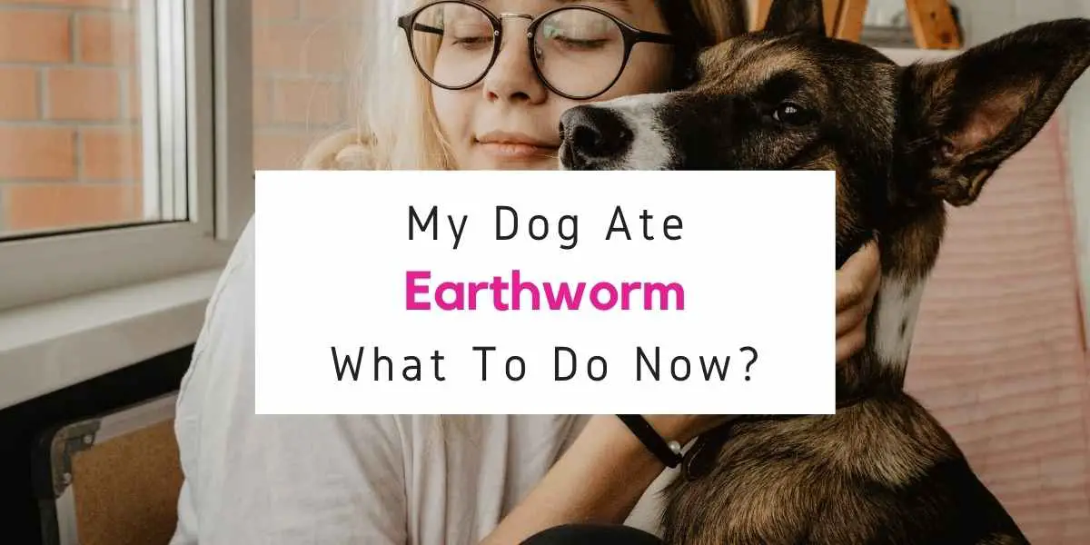 what to do if dog ate earthworm